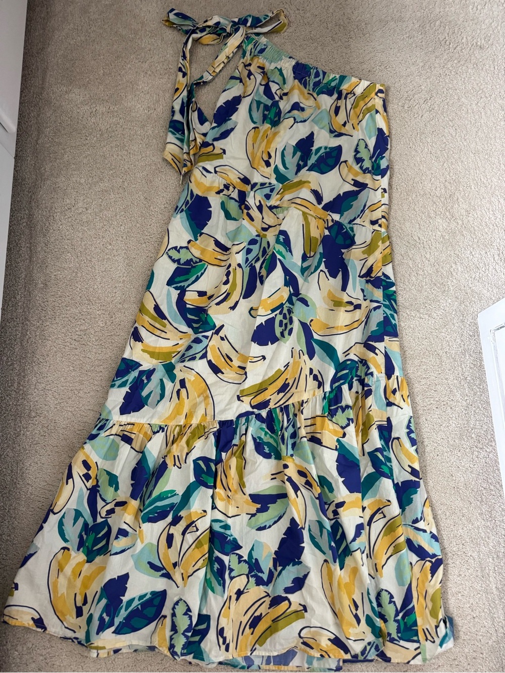 Anthropologie Cream Floral Maxi Dress with Blue & Yellow Print XS